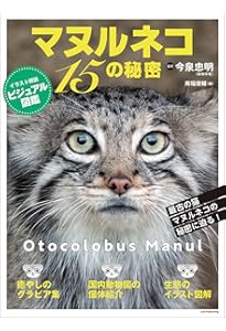 美しすぎるネコ科図鑑 (小学館実用シリーズ LADY BIRD) | 今泉 忠明